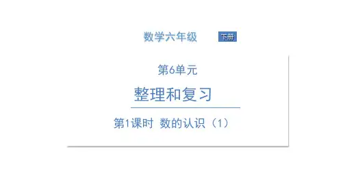 六年级下册数学课件 第1课时 数的认识(1)人教版(共16张PPT)