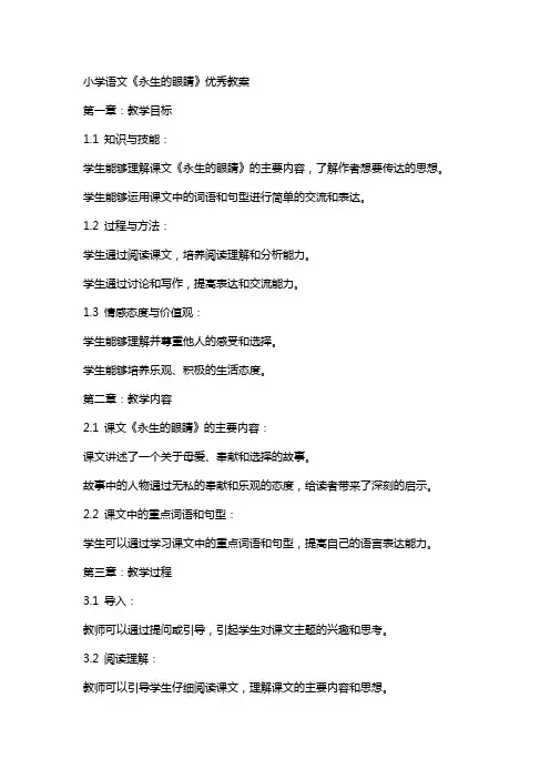 小学语文《永生的眼睛》教案
