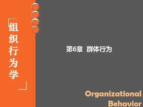 组织行为学 第6章 群体行为