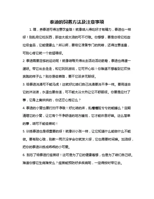 泰迪的饲养方法及注意事项