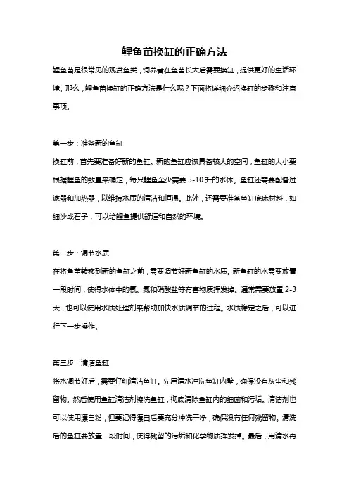 鲤鱼苗换缸的正确方法