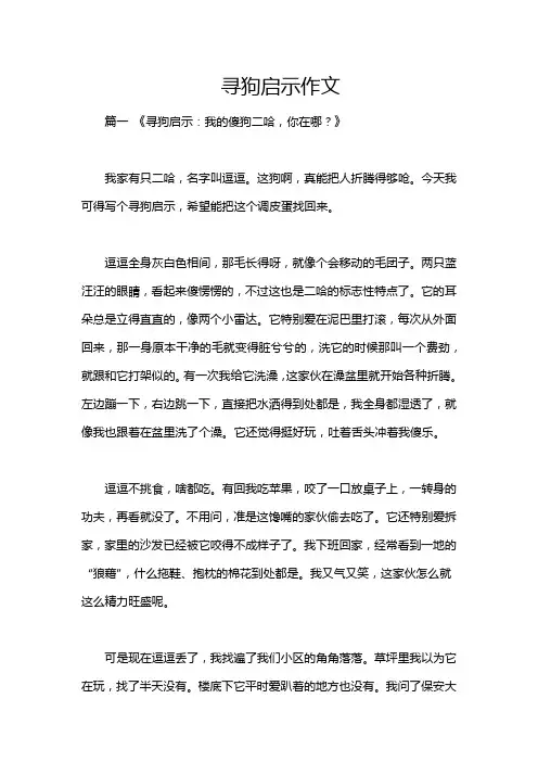 寻狗启示作文