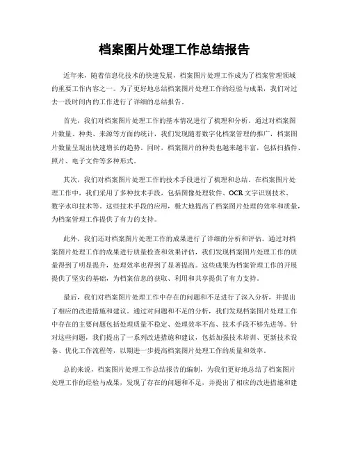 档案图片处理工作总结报告