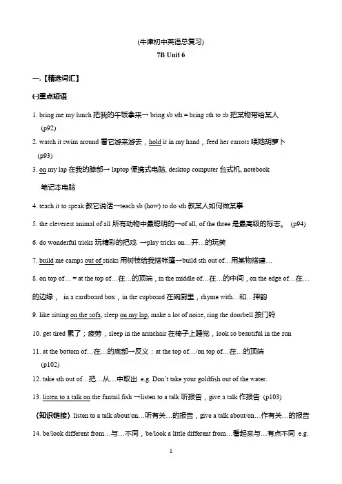 牛津英语 7B unit6知识点