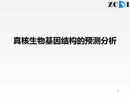 基因结构预测