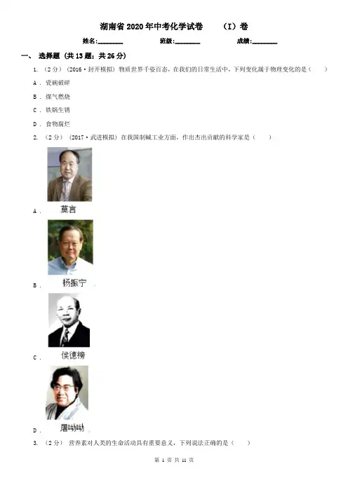 湖南省2020年中考化学试卷    (I)卷