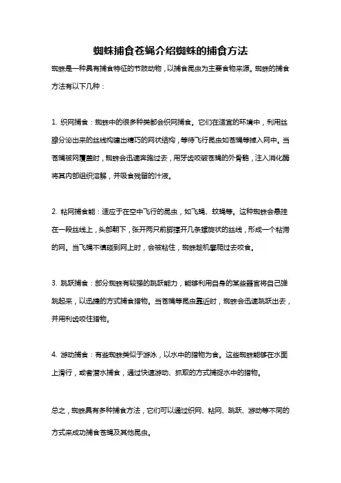 蜘蛛捕食苍蝇介绍蜘蛛的捕食方法