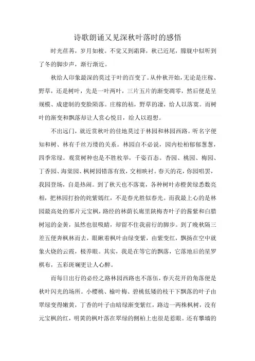 诗歌朗诵又见深秋叶落时的感悟