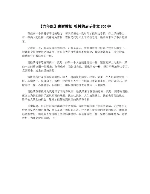 【六年级】感谢雪松 松树的启示作文700字