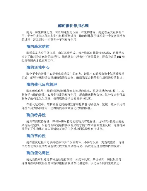 酶的催化作用机理