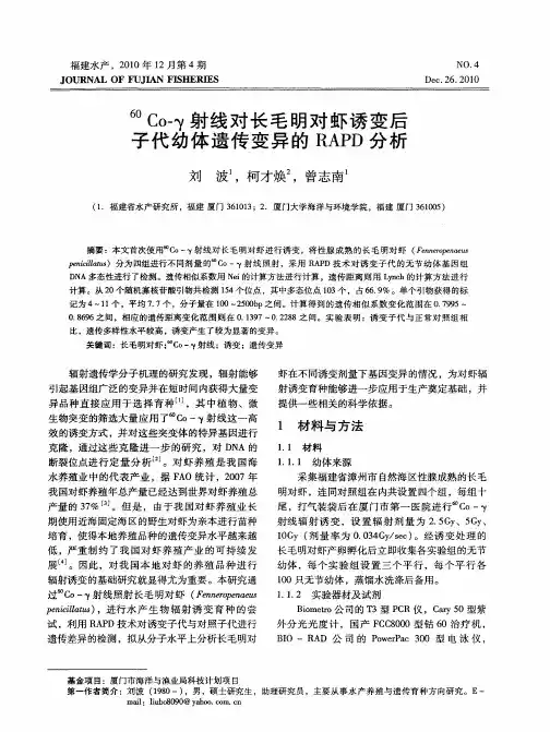~(60)Co-γ射线对长毛明对虾诱变后子代幼体遗传变异的RAPD分析