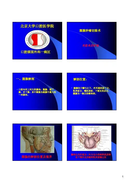 腮腺手术术前术后护理常规1