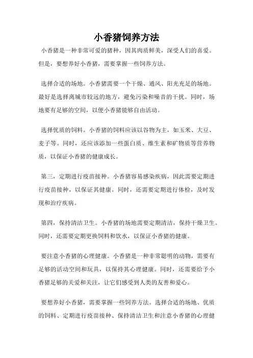 小香猪饲养方法