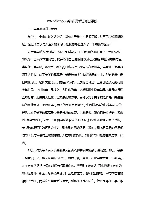 中小学农业美学课程总结评价