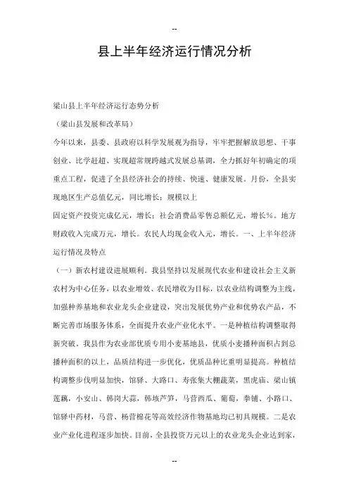 XX县上半经济运行情况分析