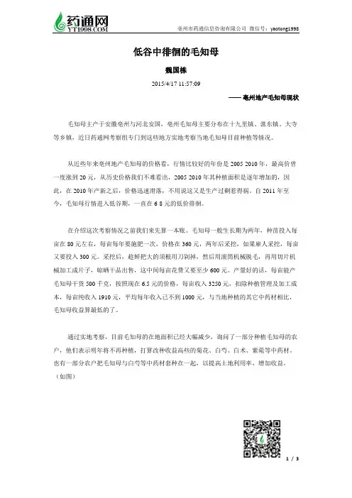 低谷中徘徊的毛知母