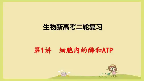 生物新高考二轮复习：2-1细胞内的酶和ATP