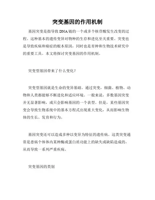 突变基因的作用机制