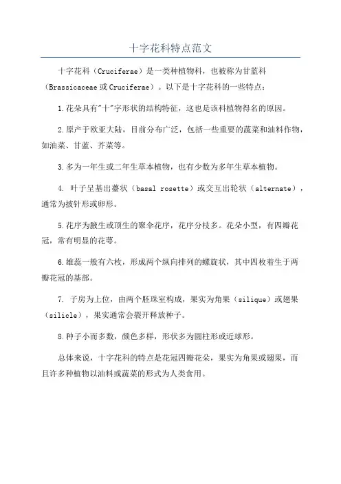 十字花科特点范文