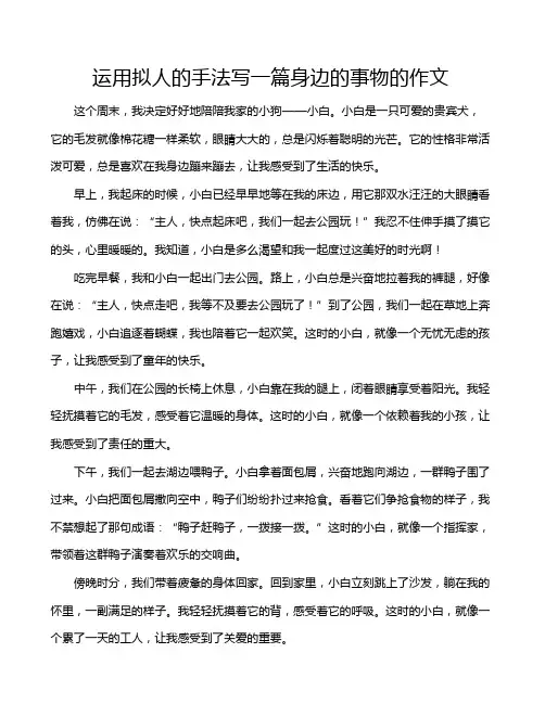 运用拟人的手法写一篇身边的事物的作文