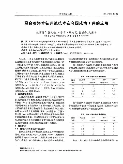 聚合物海水钻井液技术在乌国咸海1井的应用