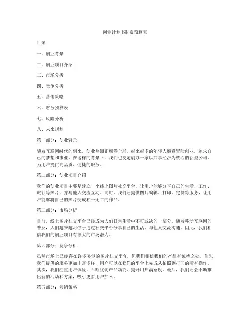 创业计划书财富预算表