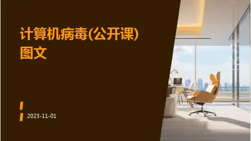计算机病毒(公开课)图文