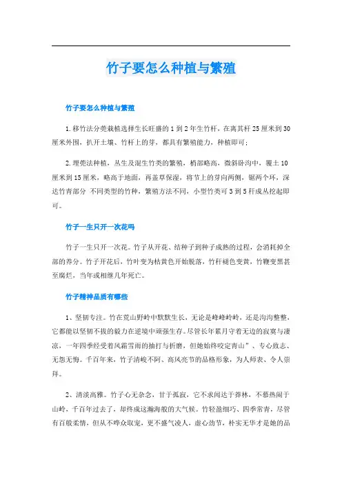 竹子要怎么种植与繁殖