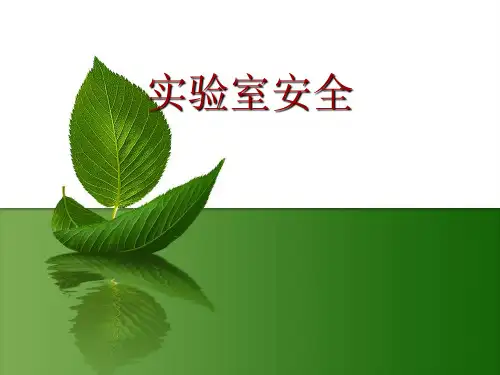 实验室安全(PPT课件(初中科学)24张)