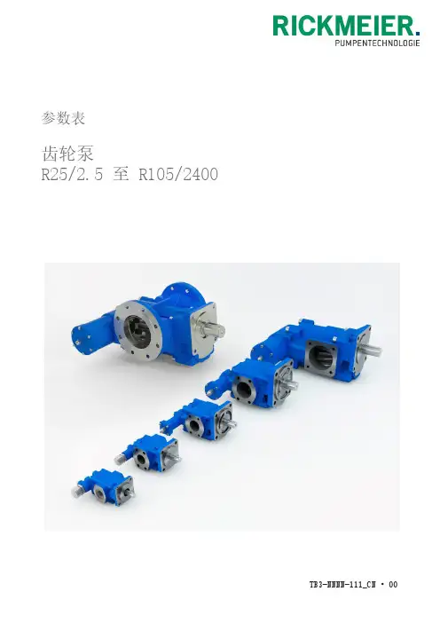 RICKMEIER 齿轮泵 R25 2.5 至 R105 2400 说明书