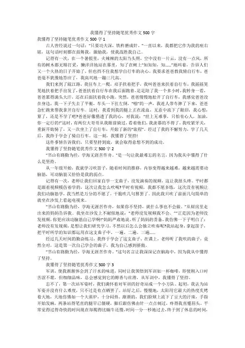 我懂得了坚持随笔优秀作文500字