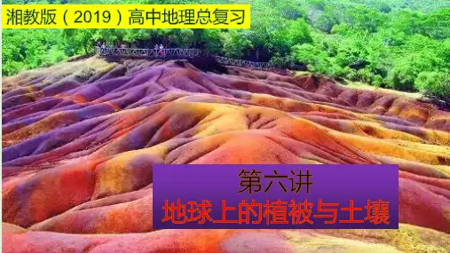 课件05地球上的植被与土壤-高一地理学考总复习(湘教版2019)