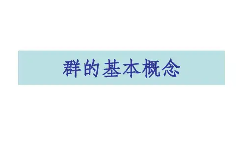 群的基本概念ppt课件