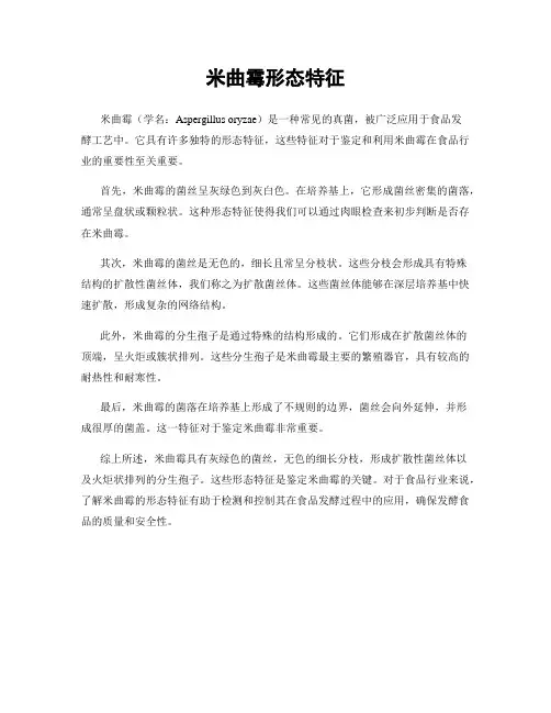 米曲霉形态特征