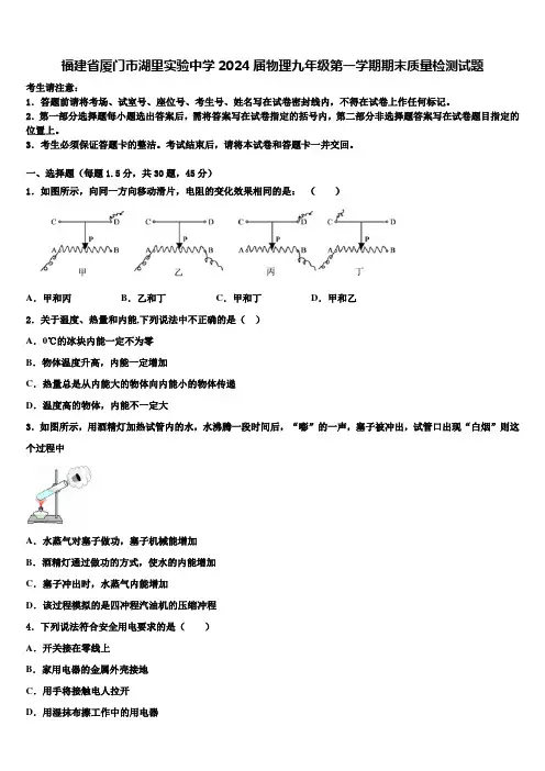 福建省厦门市湖里实验中学2024届物理九年级第一学期期末质量检测试题含解析