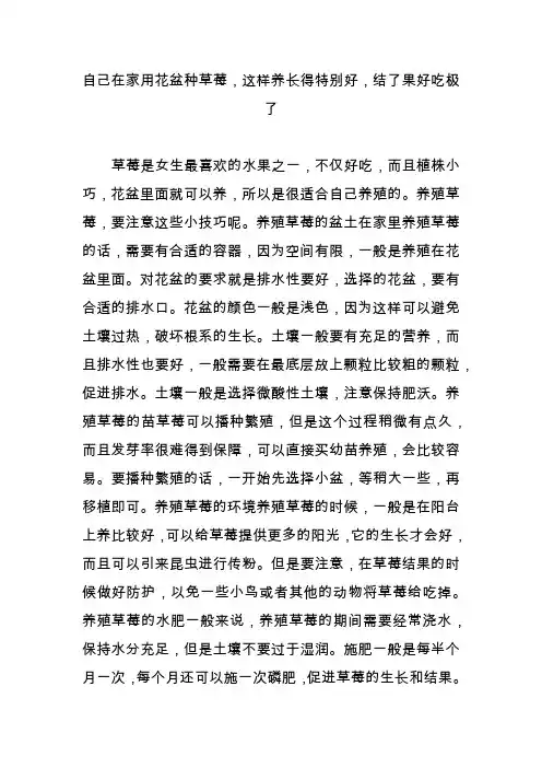 自己在家用花盆种草莓这样养长得特别好结了果好吃极了