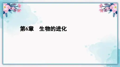 自然选择与适应的形成课件高一下学期生物人教版必修2(4)