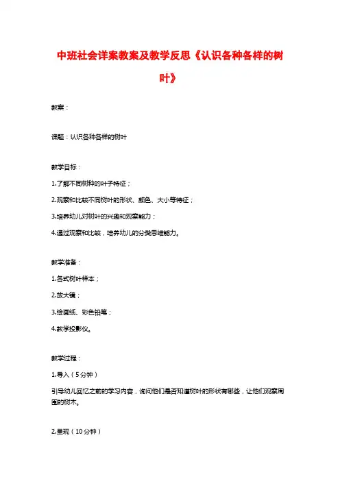 中班社会详案教案及教学反思《认识各种各样的树叶》 (2)