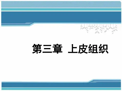 动物组织学与胚胎学-上皮组织