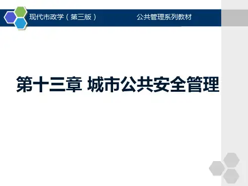 精选第13章城市公共安全管理