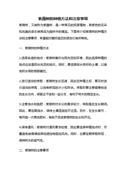 紫薇树的种植方法和注意事项