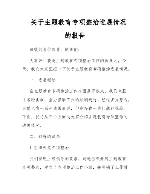 关于主题教育专项整治进展情况的报告