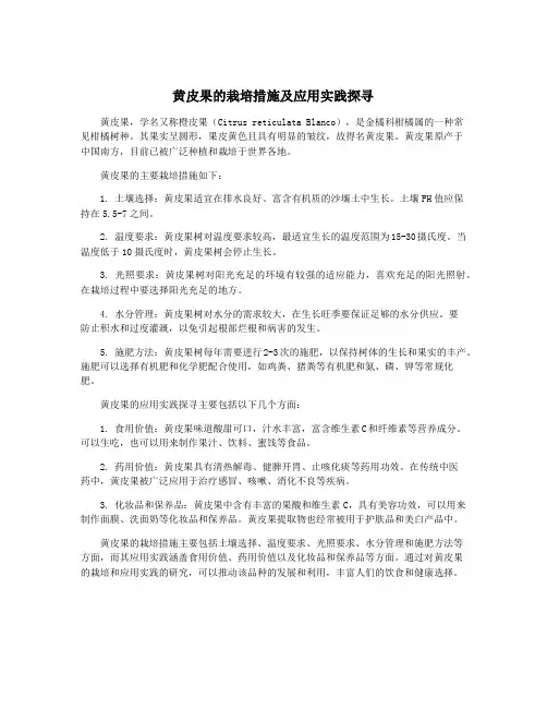 黄皮果的栽培措施及应用实践探寻