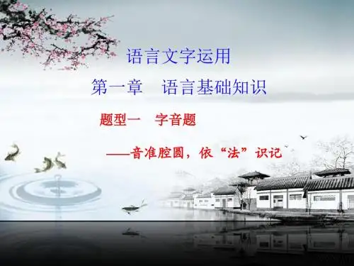 《步步高大一轮复习讲义》配套课件：字音题