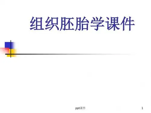 组织胚胎学--免疫系统  ppt课件