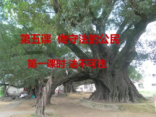 部编人教版初中八年级上册道德与法治《第五课做守法的公民：法不可违》公开课获奖课件_1