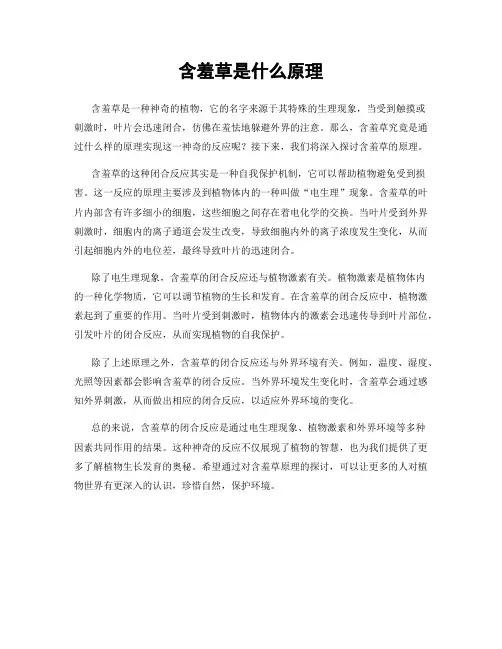 含羞草是什么原理