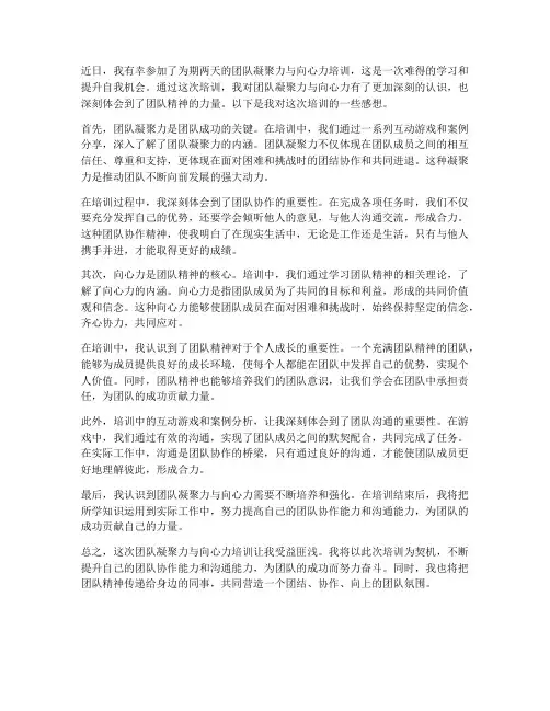 培训凝聚力向心力感想
