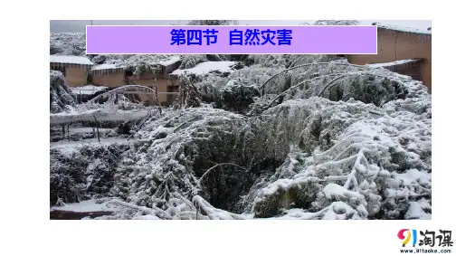 课件3：2.4自然灾害