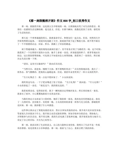 《那一刻我豁然开朗》作文800字_初三优秀作文